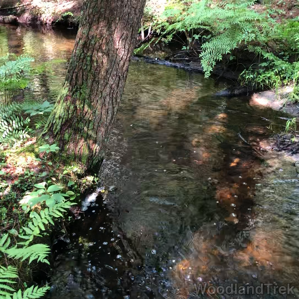 2023-07-26_105148_00