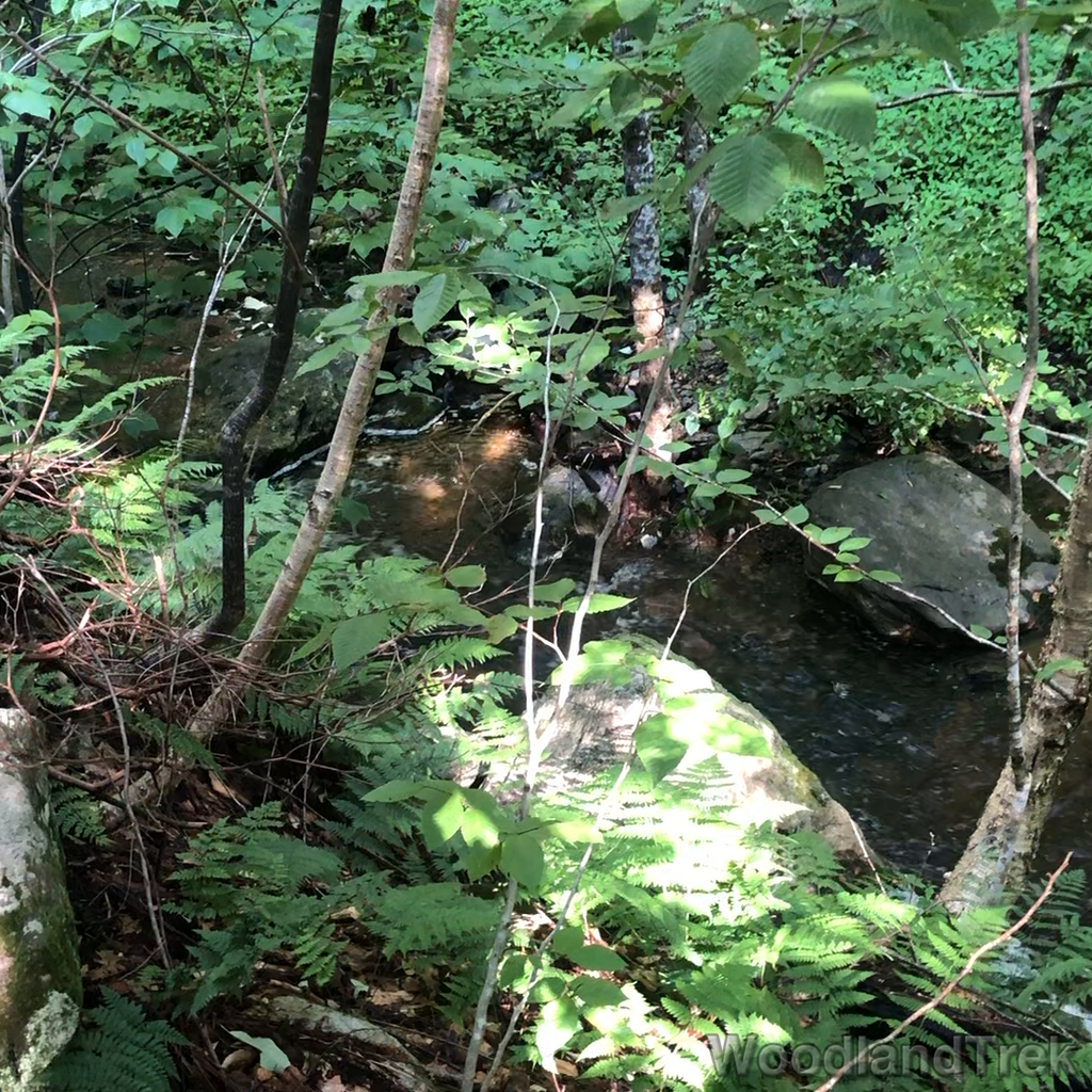 2023-07-30_084045_00