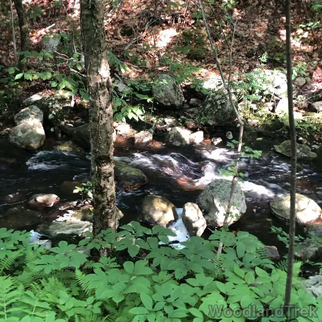 2023-07-30_084605_00