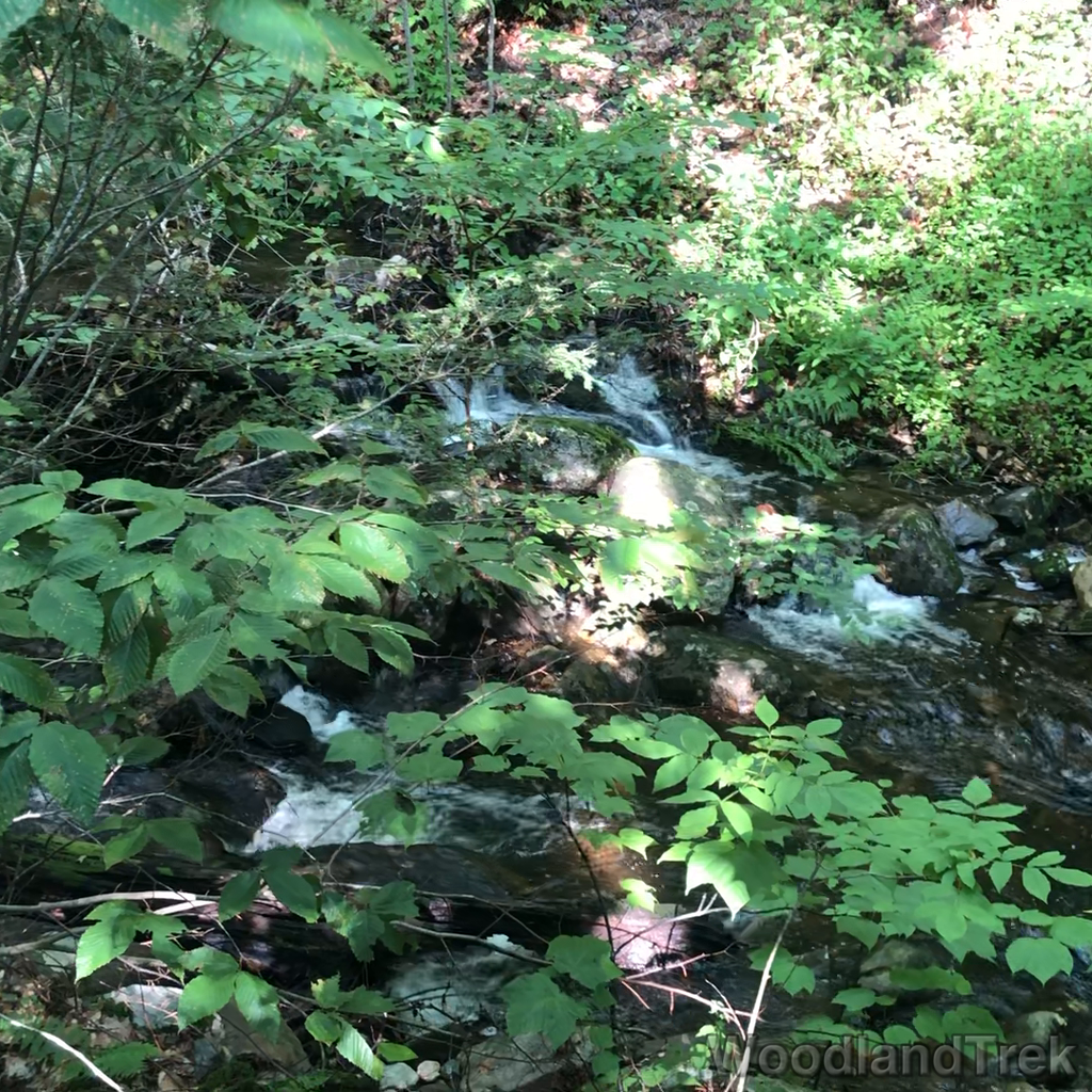 2023-07-30_220456_00