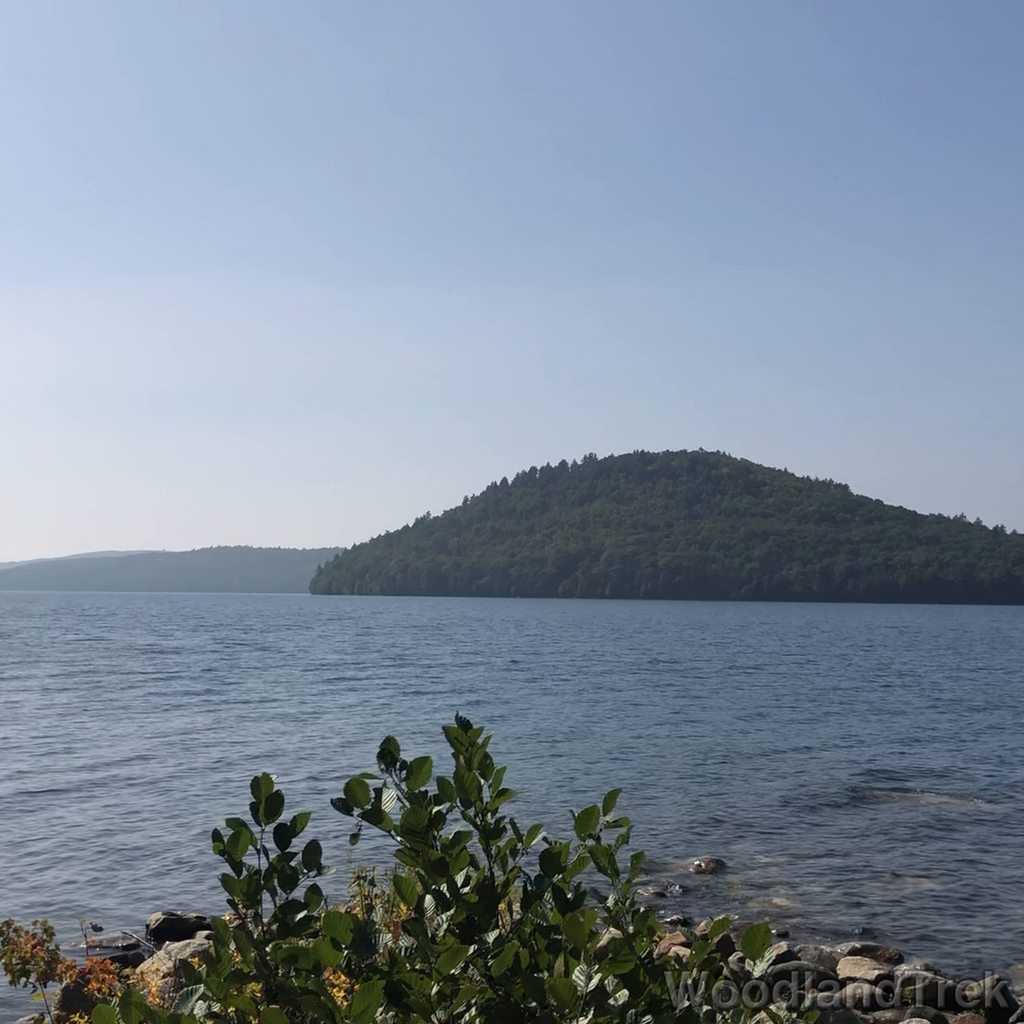 2023-10-01_123726_00