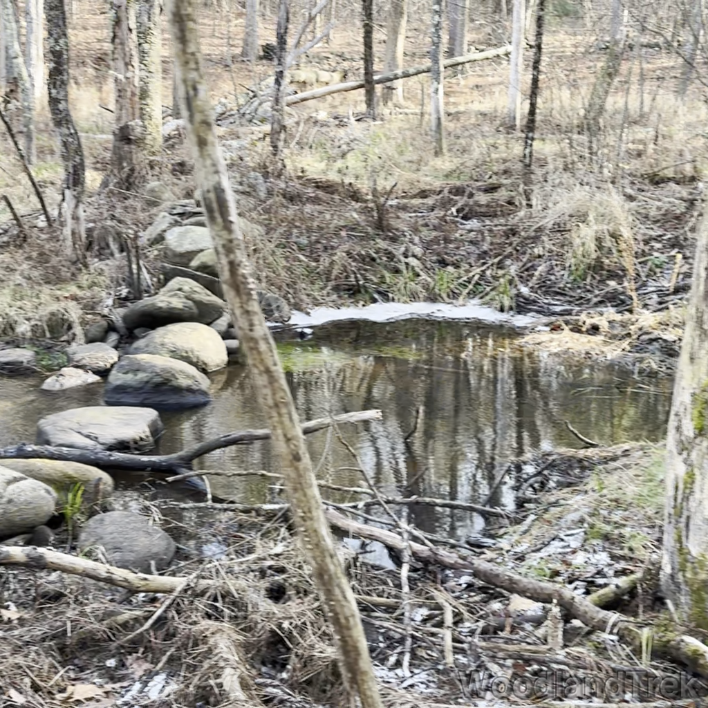 2023-12-09_103129_00