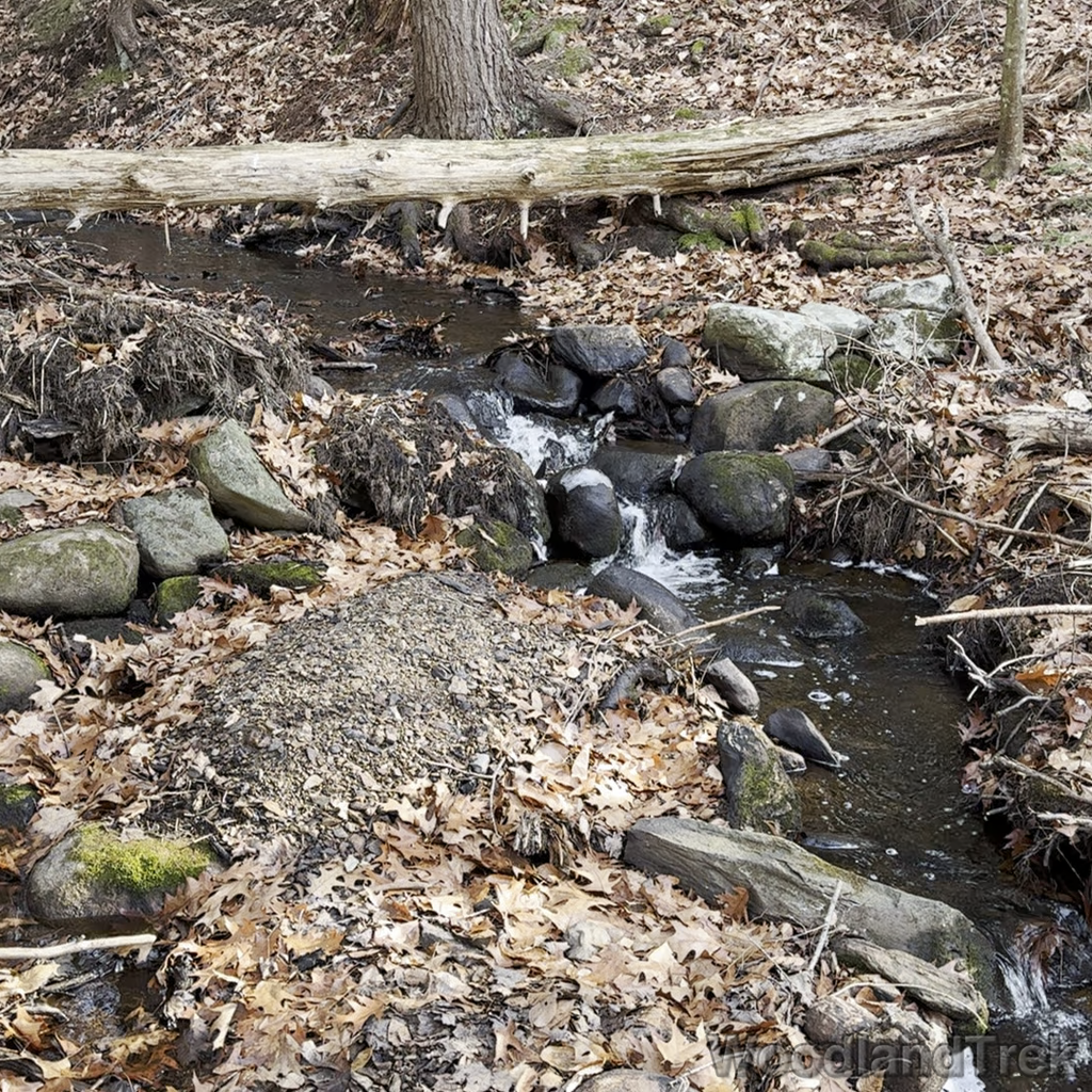 2023-12-09_111515_00