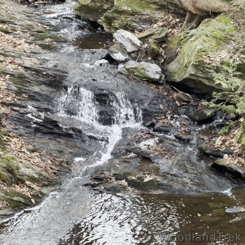 2023-12-09_112542_00