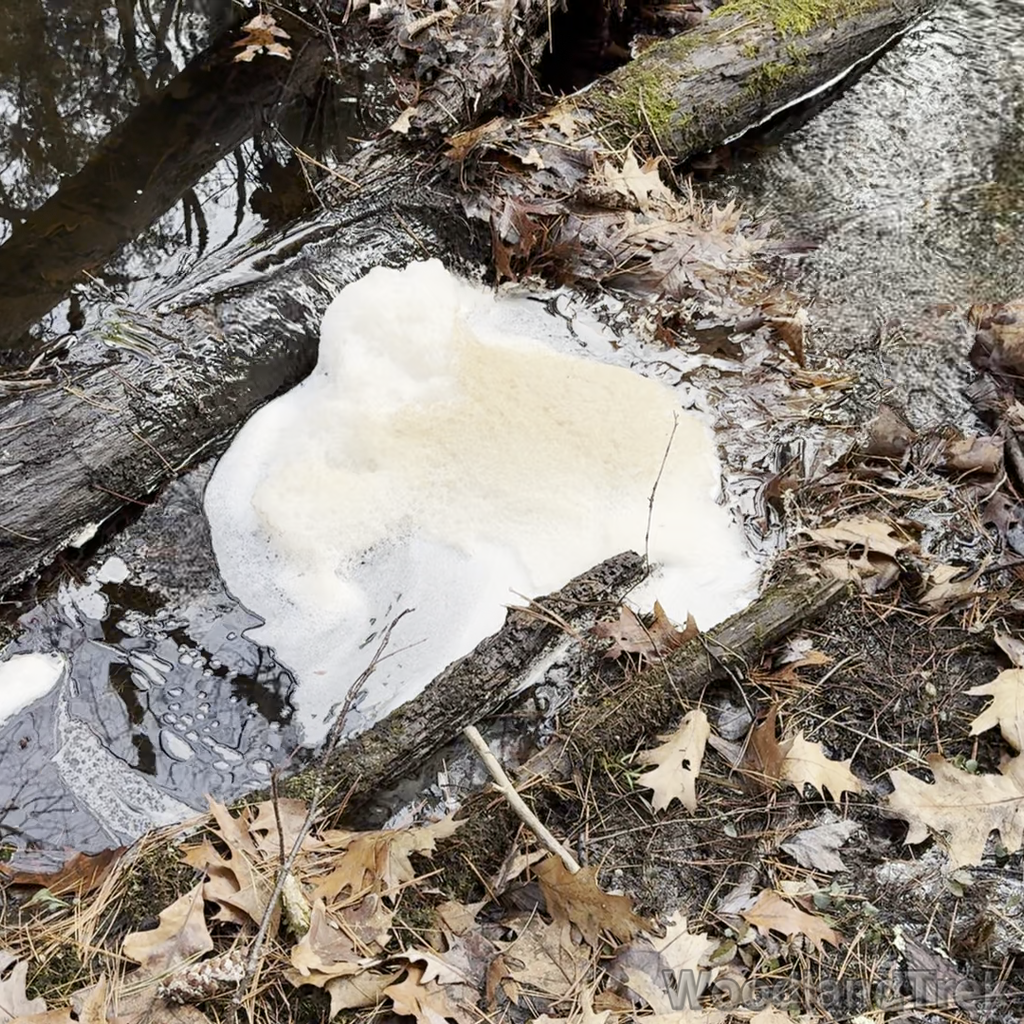 2023-12-09_121234_00