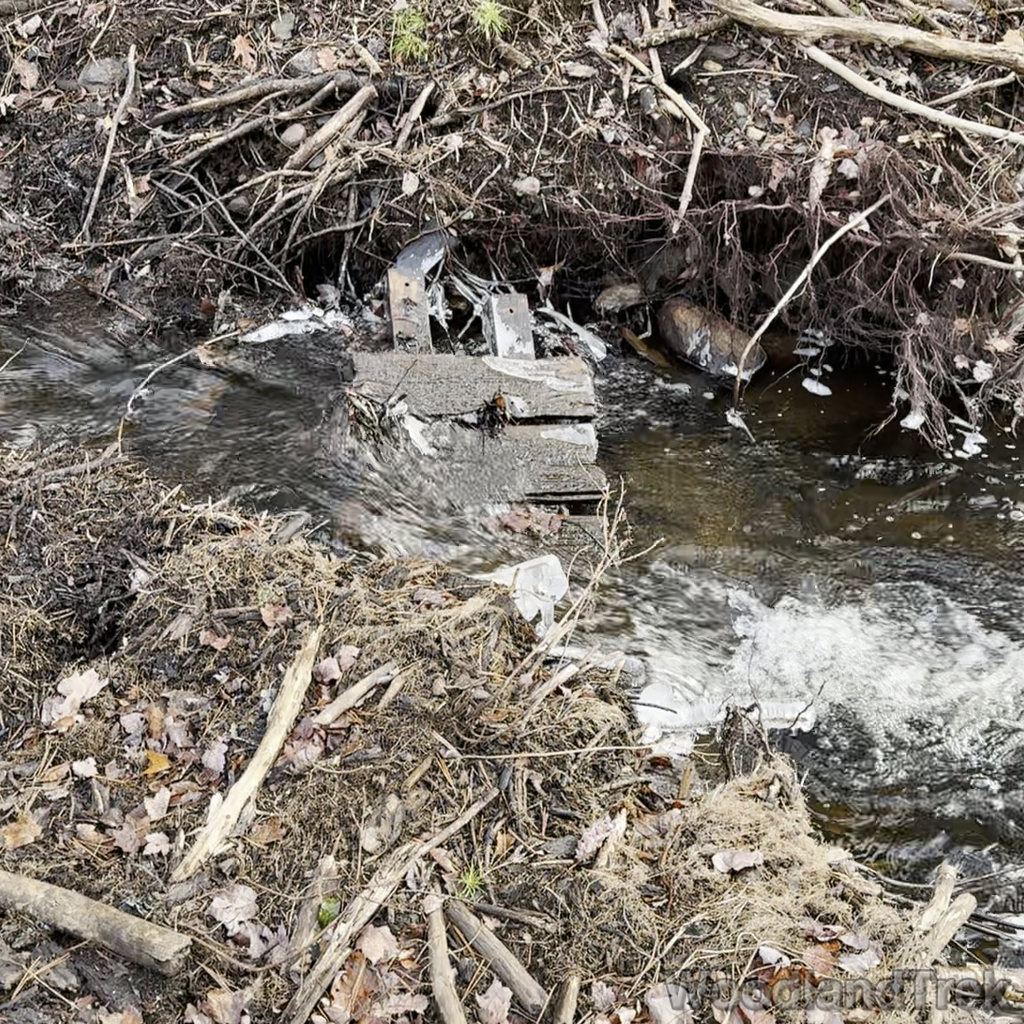 2023-12-09_122010_00