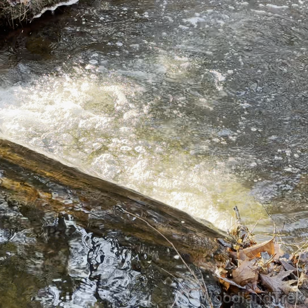 2023-12-13_103142_00