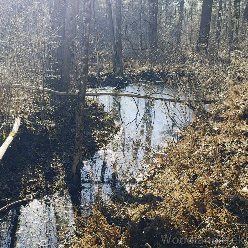 2023-12-13_103914_00