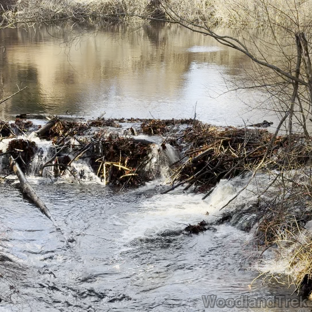 2023-12-13_105922_00