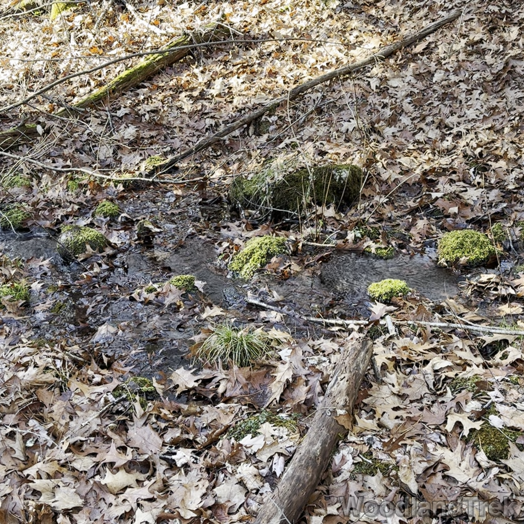 2023-12-16_131314_00