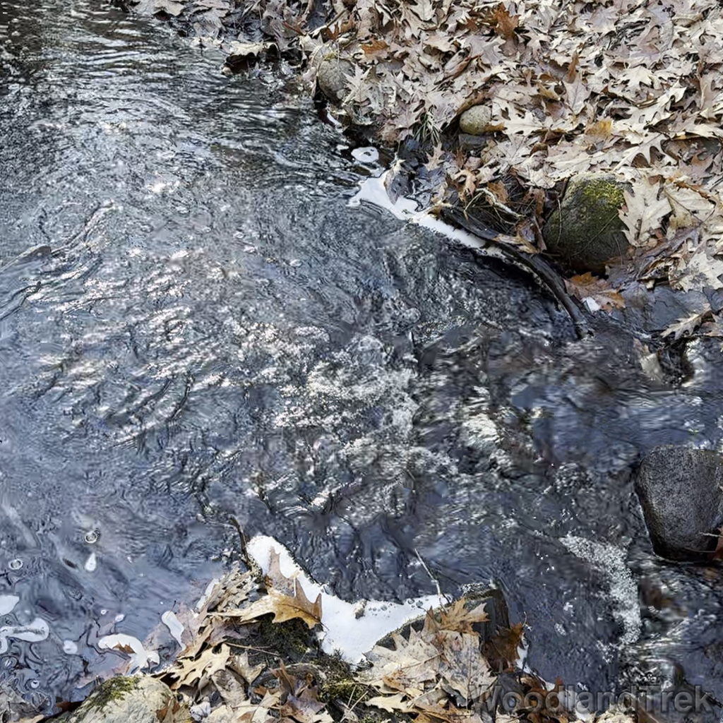 2023-12-16_135156_00