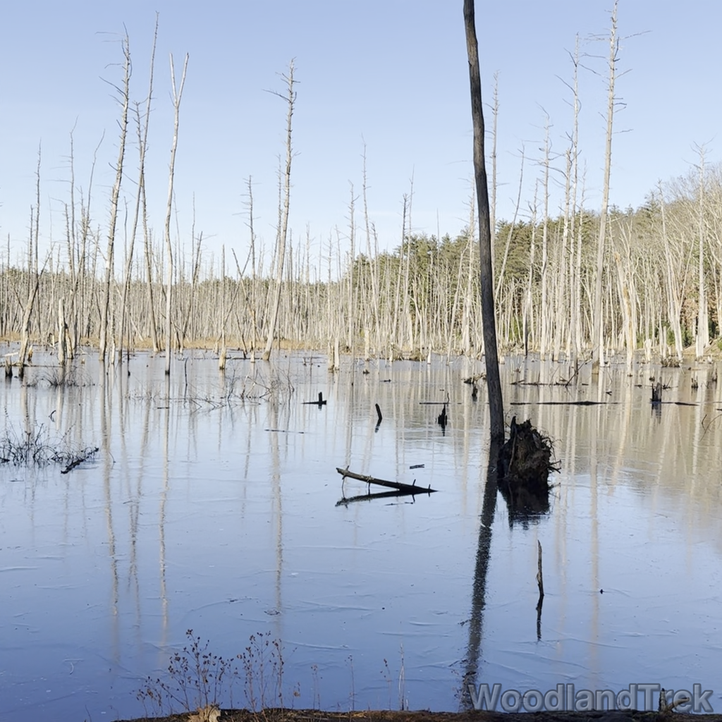 2023-12-16_140054_00