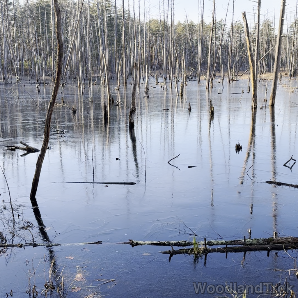 2023-12-16_140554_00