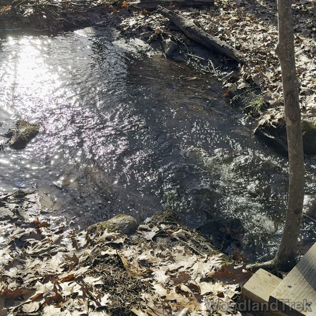 2023-12-20_124807_00