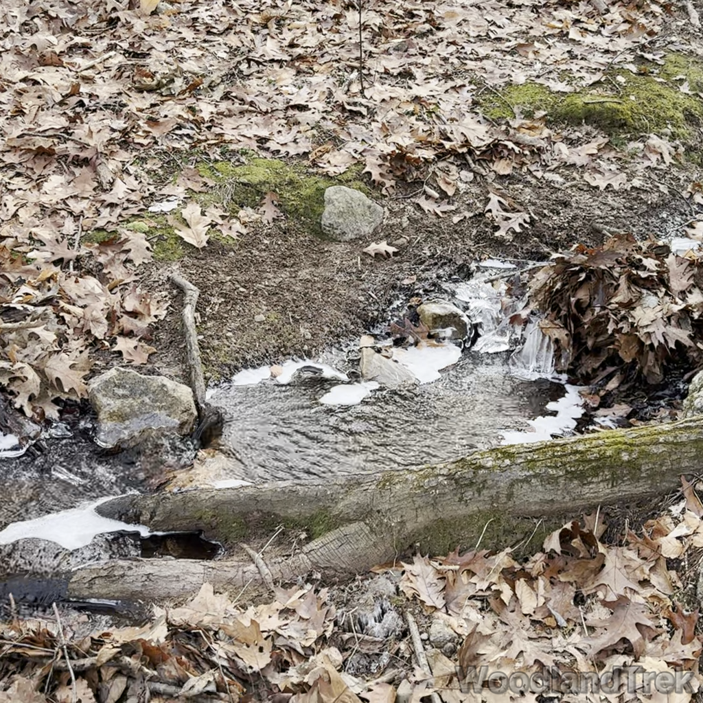 2023-12-23_104212_00