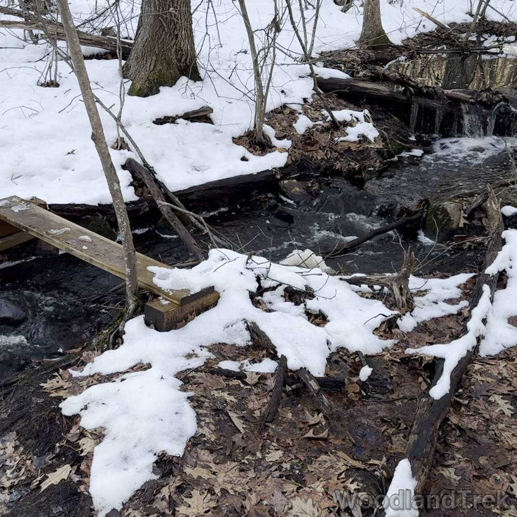 2024-01-12_150348_00