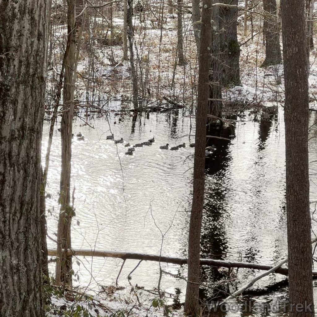 2024-01-15_134908_00