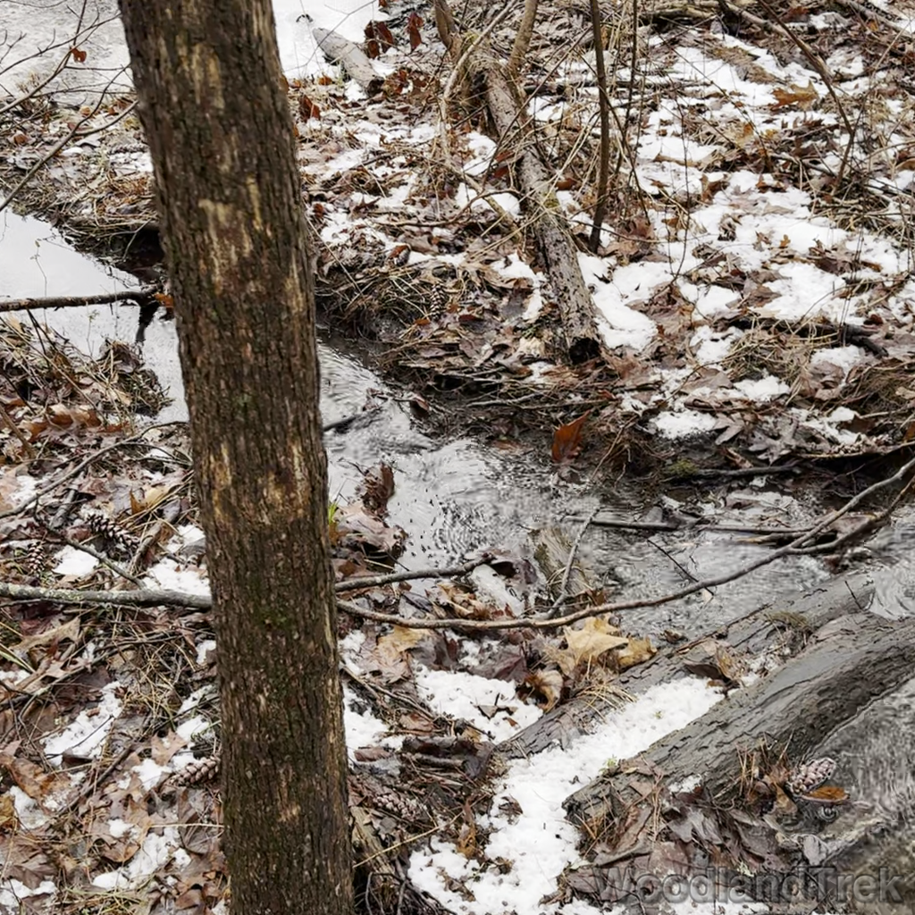 2024-01-27_095629_00