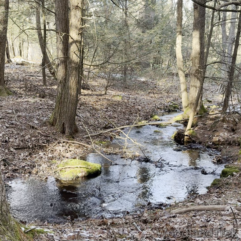 2024-02-15_141025_00