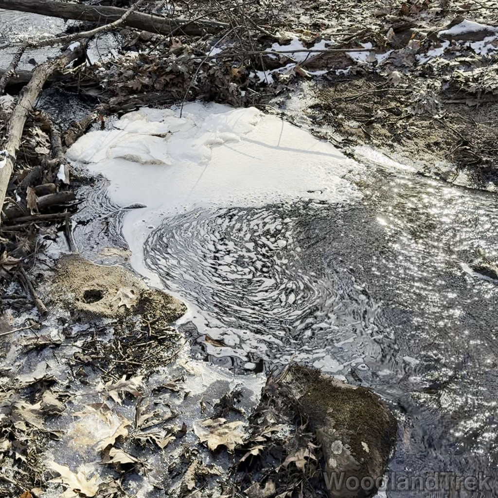 2024-02-15_144900_00