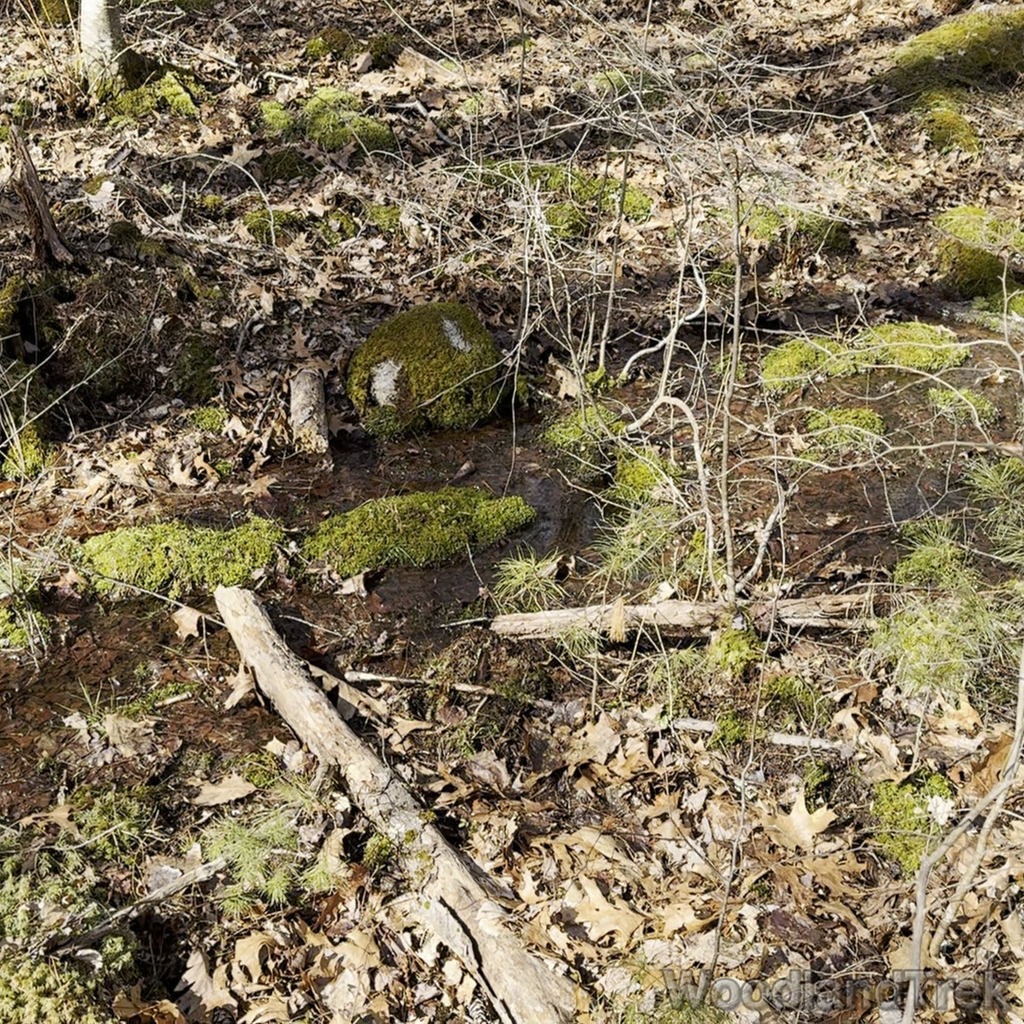 2024-02-25_134933_00