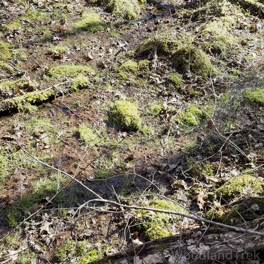 2024-02-25_135130_00-ROT