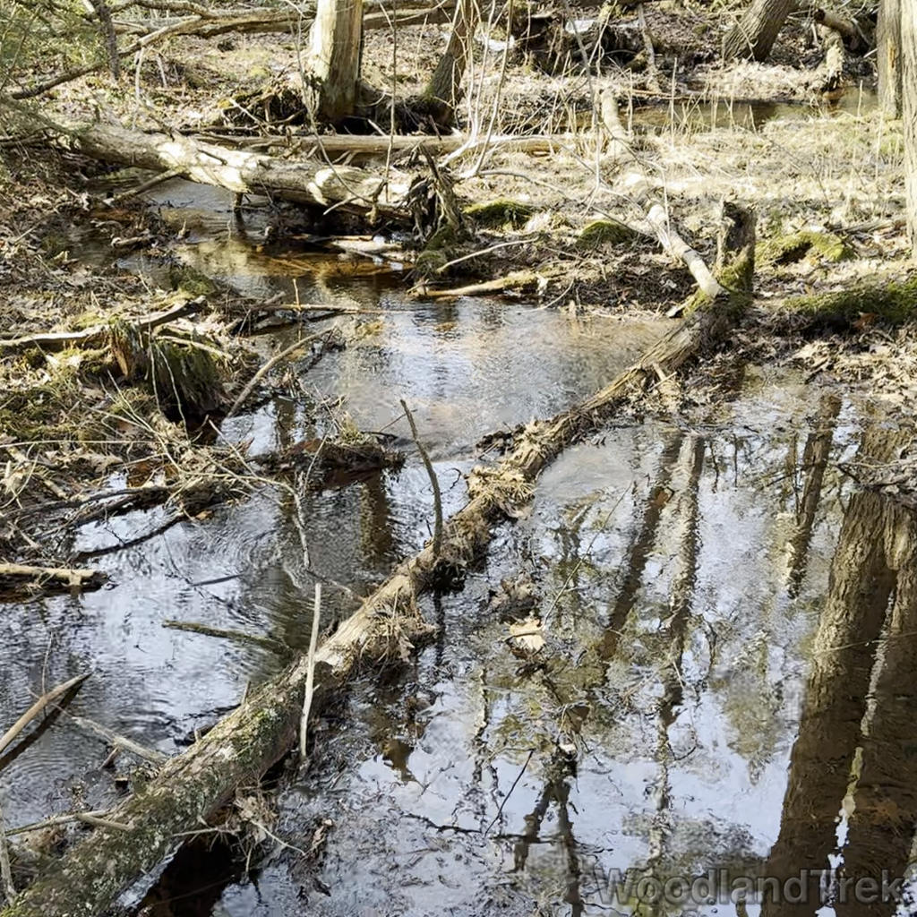 2024-02-25_141229_00