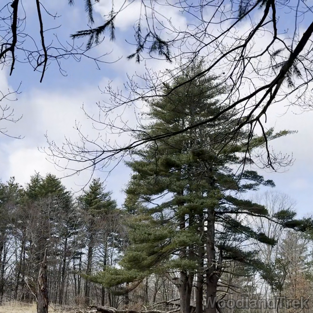 2024-03-16_110455_00-ROT