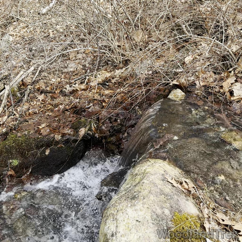 2024-03-16_112511_00