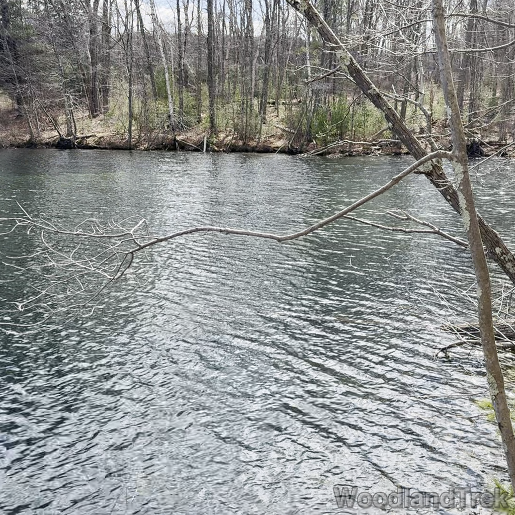 2024-03-16_115152_00