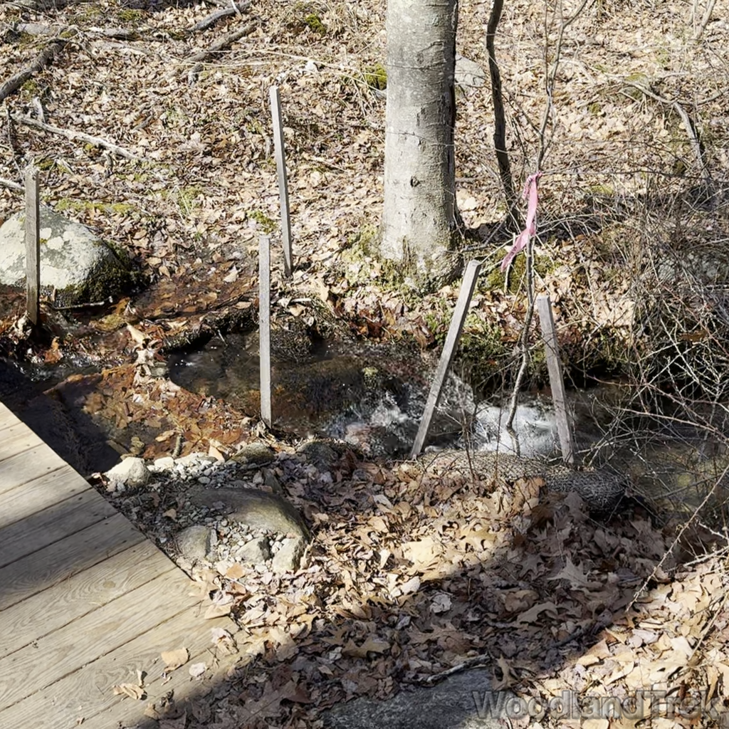 2024-03-16_120749_00