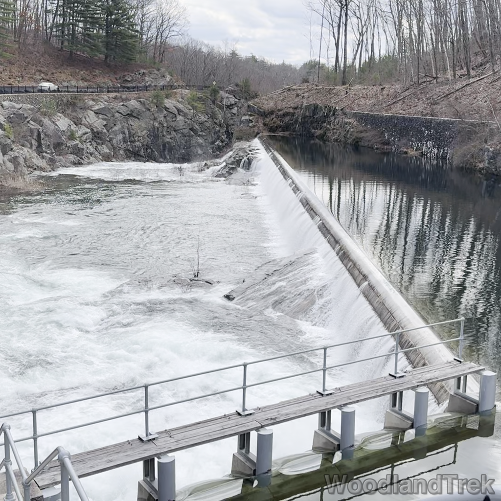 2024-03-16_131042_00