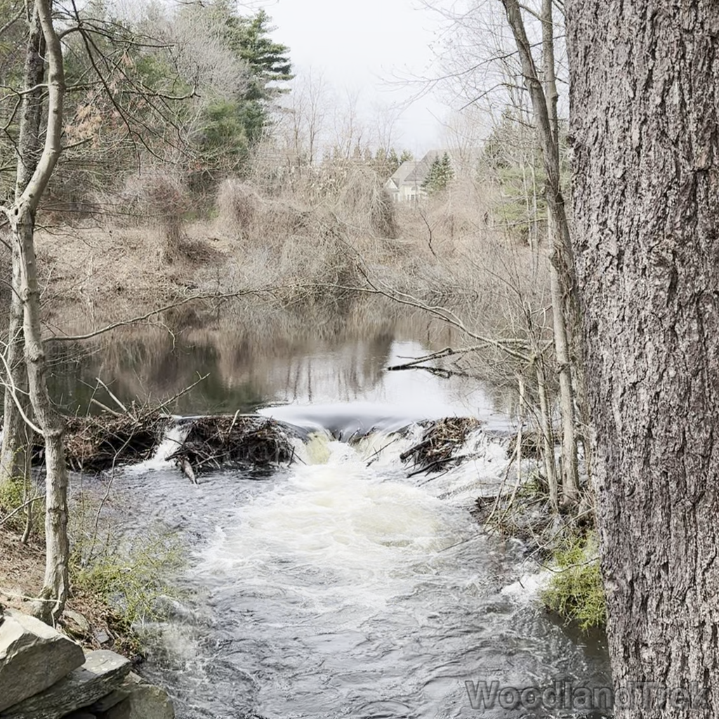 2024-04-14_115707_00