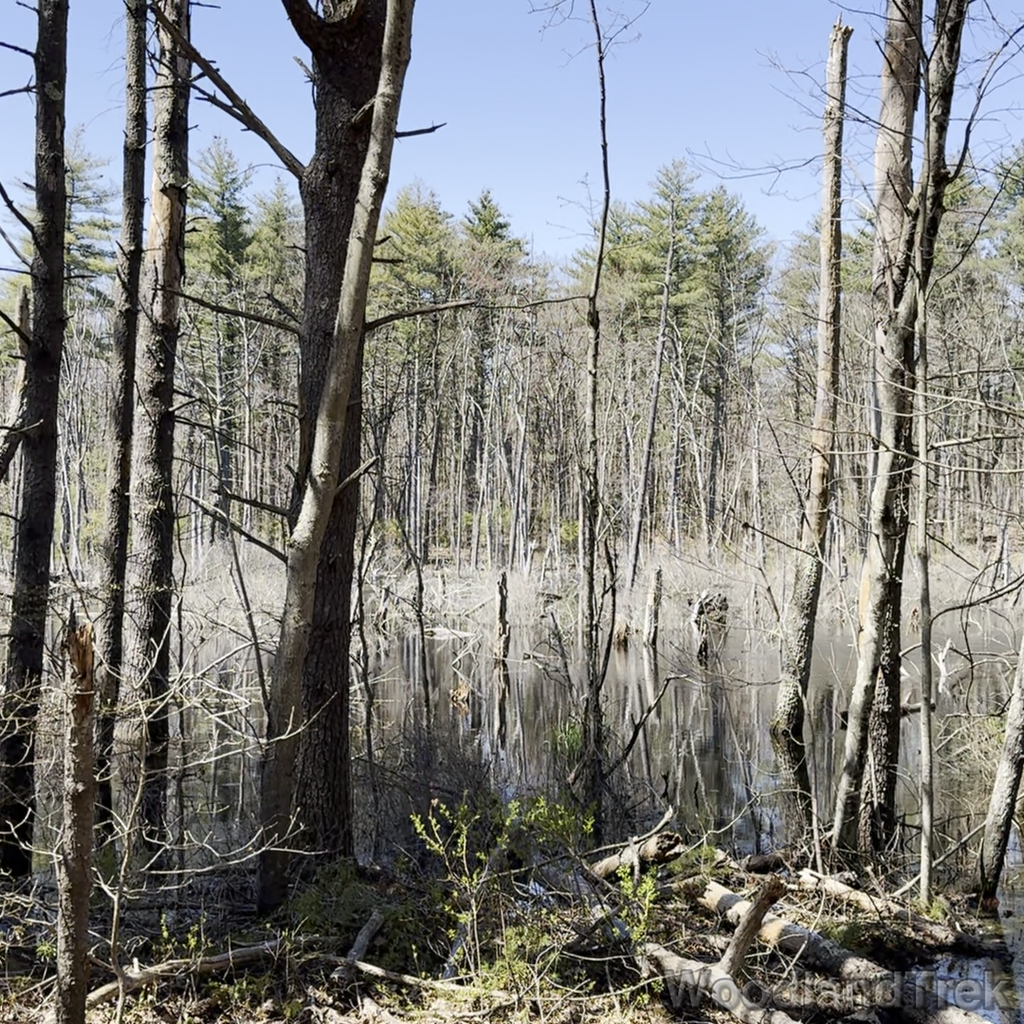 2024-04-25_140924_00