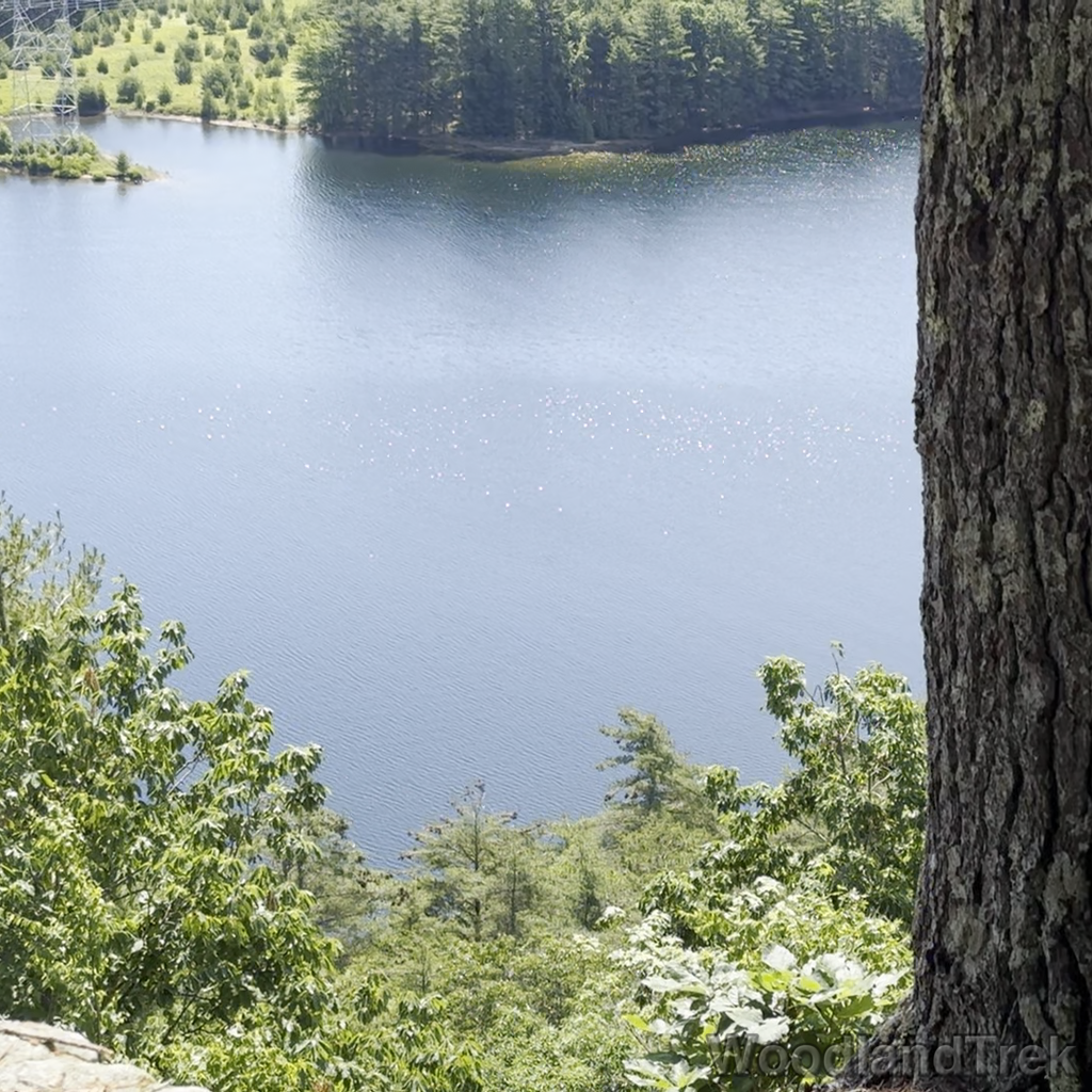 2024-06-16_101109_00