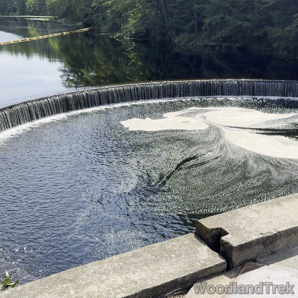 2024-07-20_101938_00