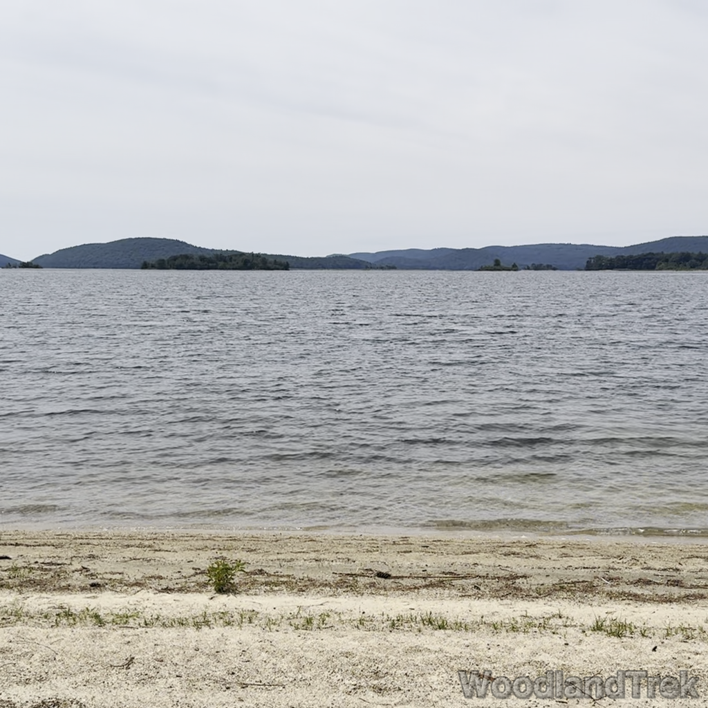 2024-07-20_112324_00