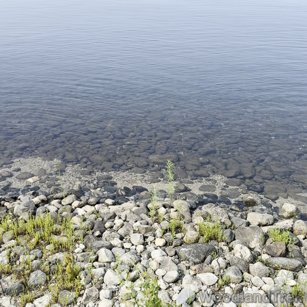 2024-07-27_100139_00