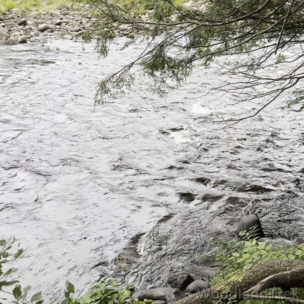 2024-08-17_113206_00