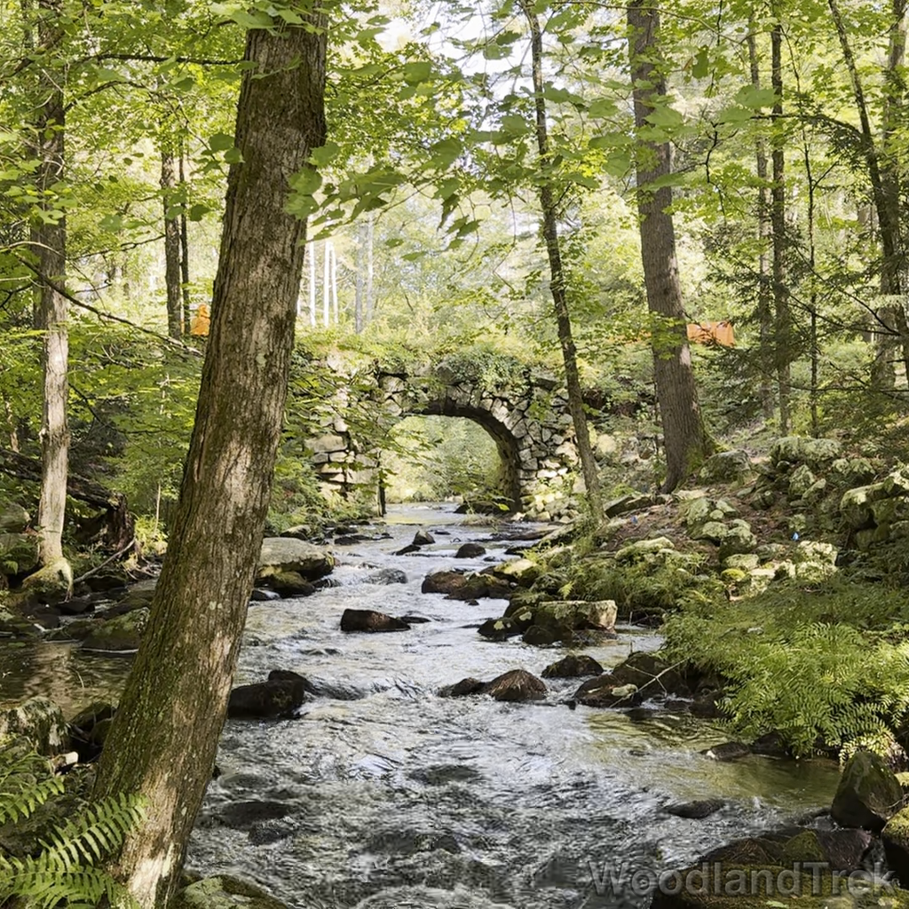 2024-08-27_104756_00