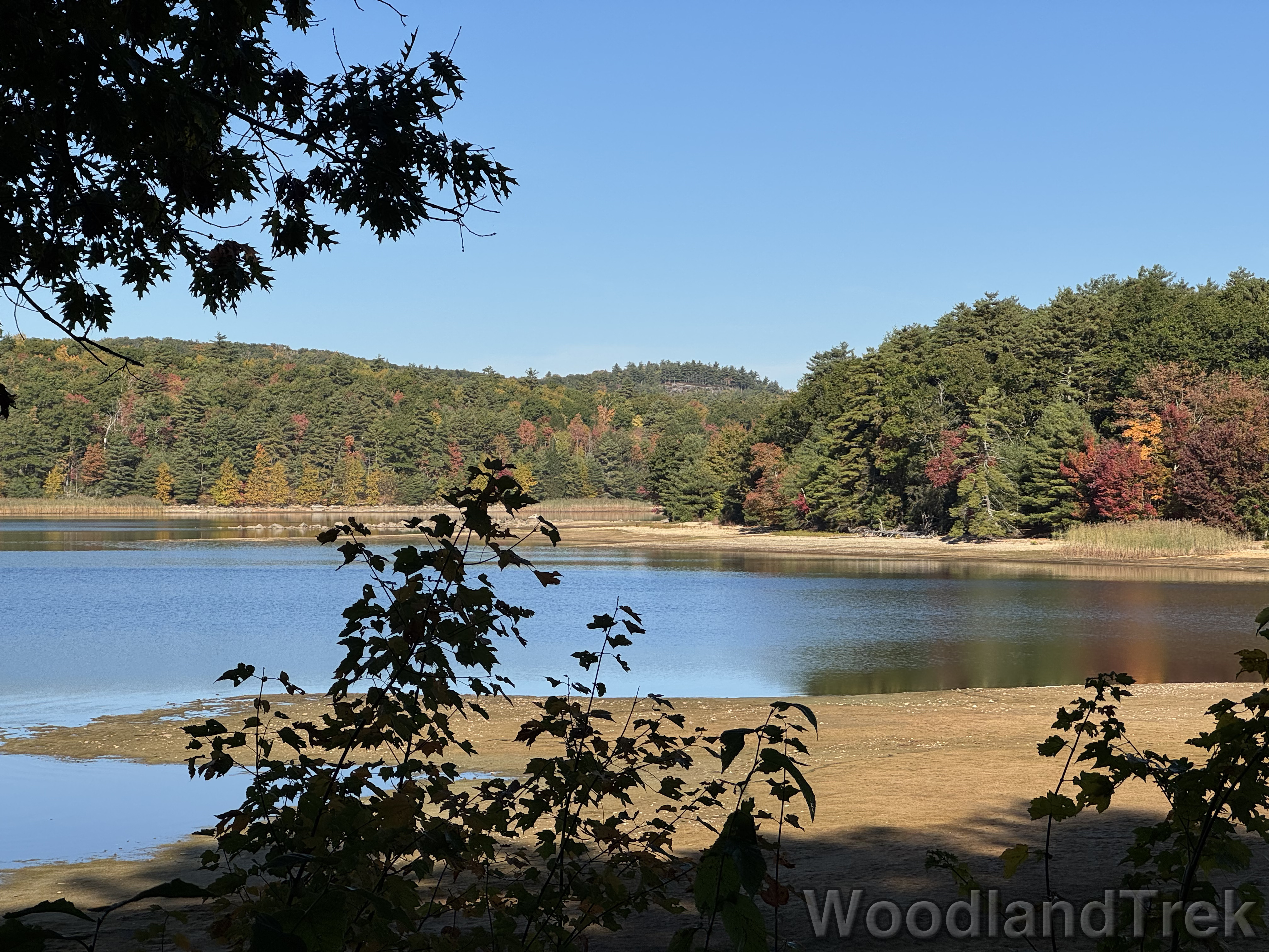 Distant view of Rattlesnake Hill from Rabbit Run Railbed at Quabbin Reservoir, with forested slopes and a subtle cliff face visible