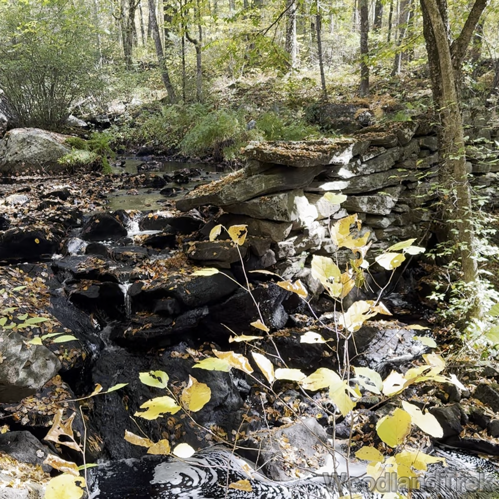 2024-10-06_121446_00