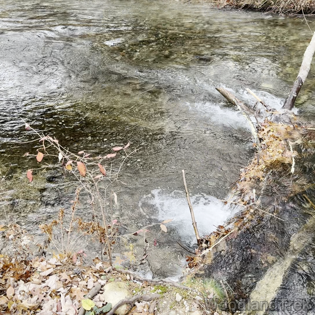 2024-11-02_113337_00