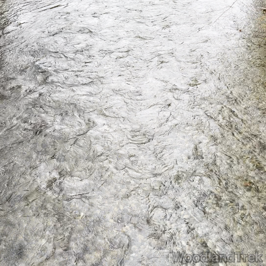 2024-11-02_113448_00