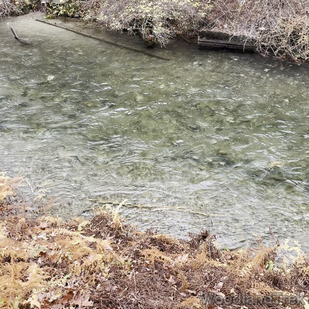 2024-11-02_113731_00