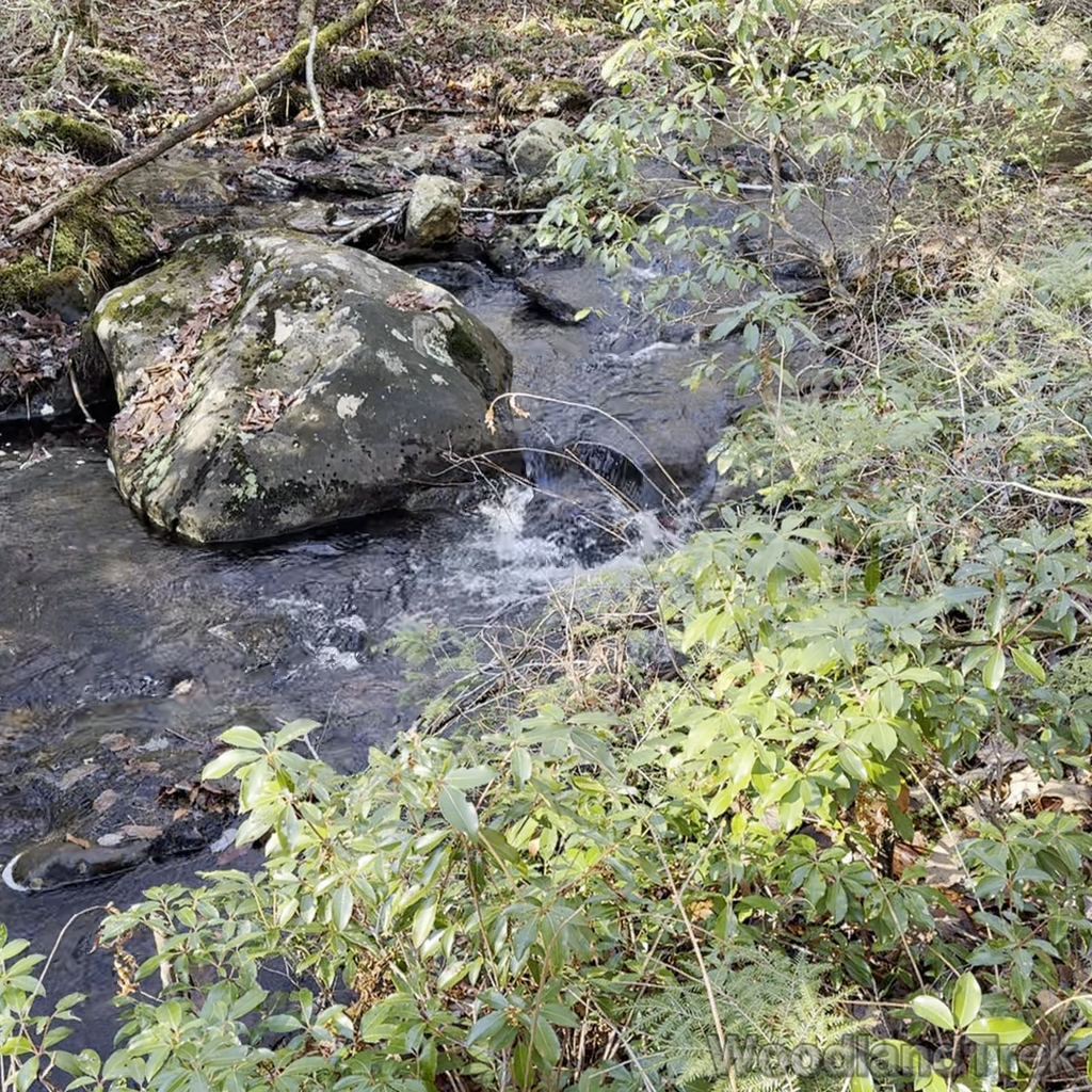 2024-12-31_122123_00