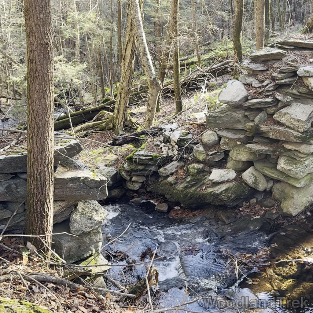 2024-12-31_122253_00