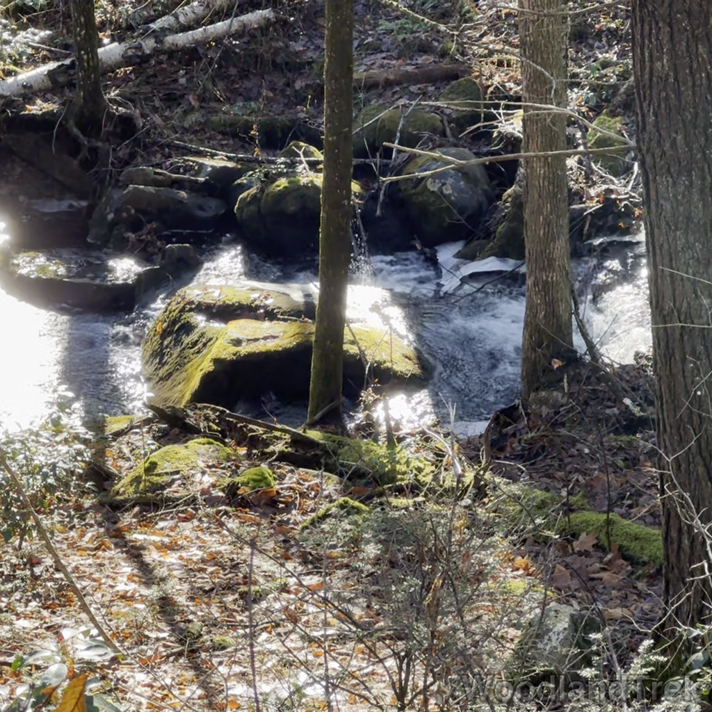 2024-12-31_123428_00