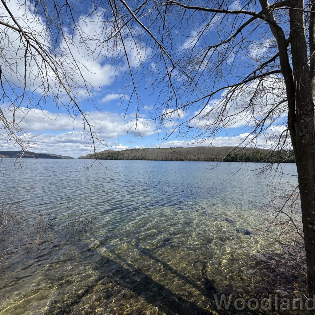 fav_2024-03-16_120325_00