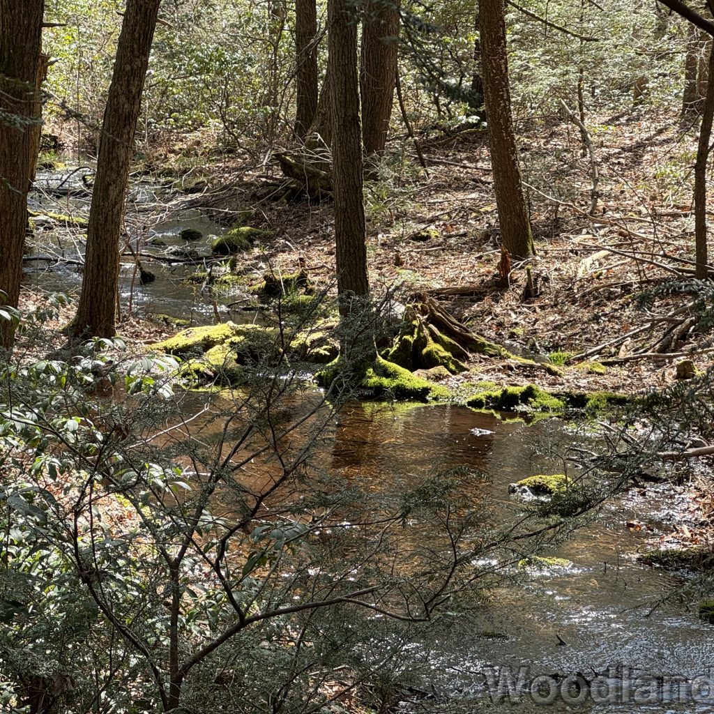 fav_2024-04-09_142327_00